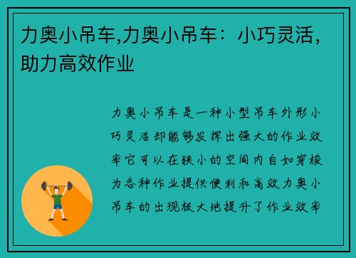 力奥小吊车,力奥小吊车：小巧灵活，助力高效作业