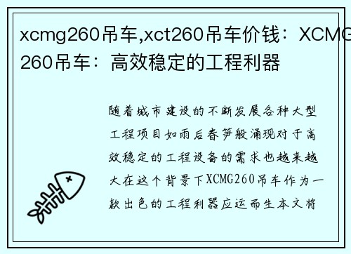 xcmg260吊车,xct260吊车价钱：XCMG260吊车：高效稳定的工程利器